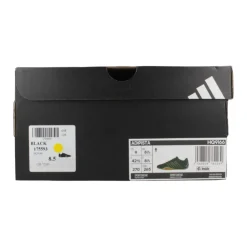 Adipista