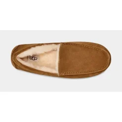 Ascot Slipper Chestnut