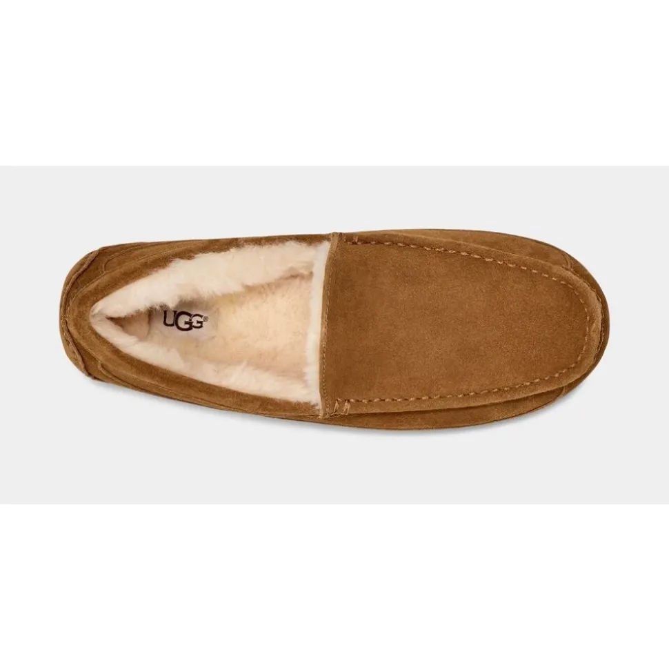 Ascot Slipper Chestnut
