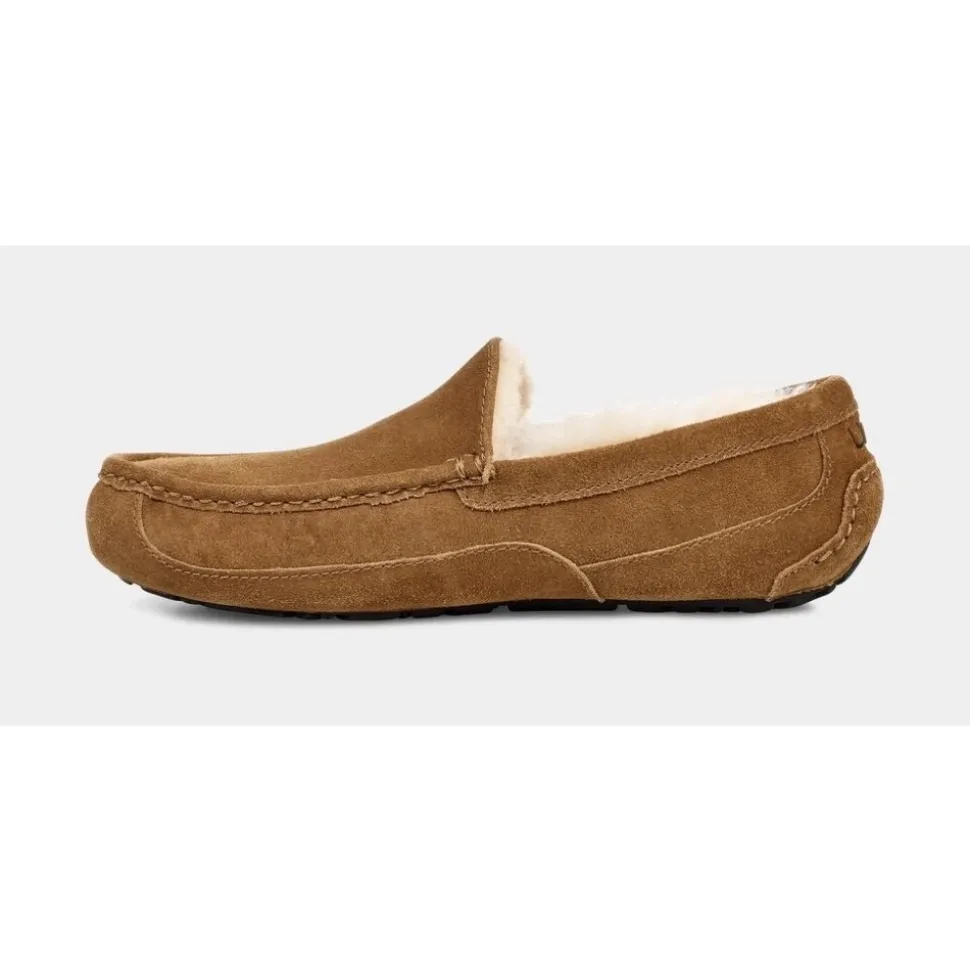 Ascot Slipper Chestnut