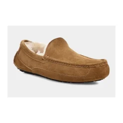 Ascot Slipper Chestnut