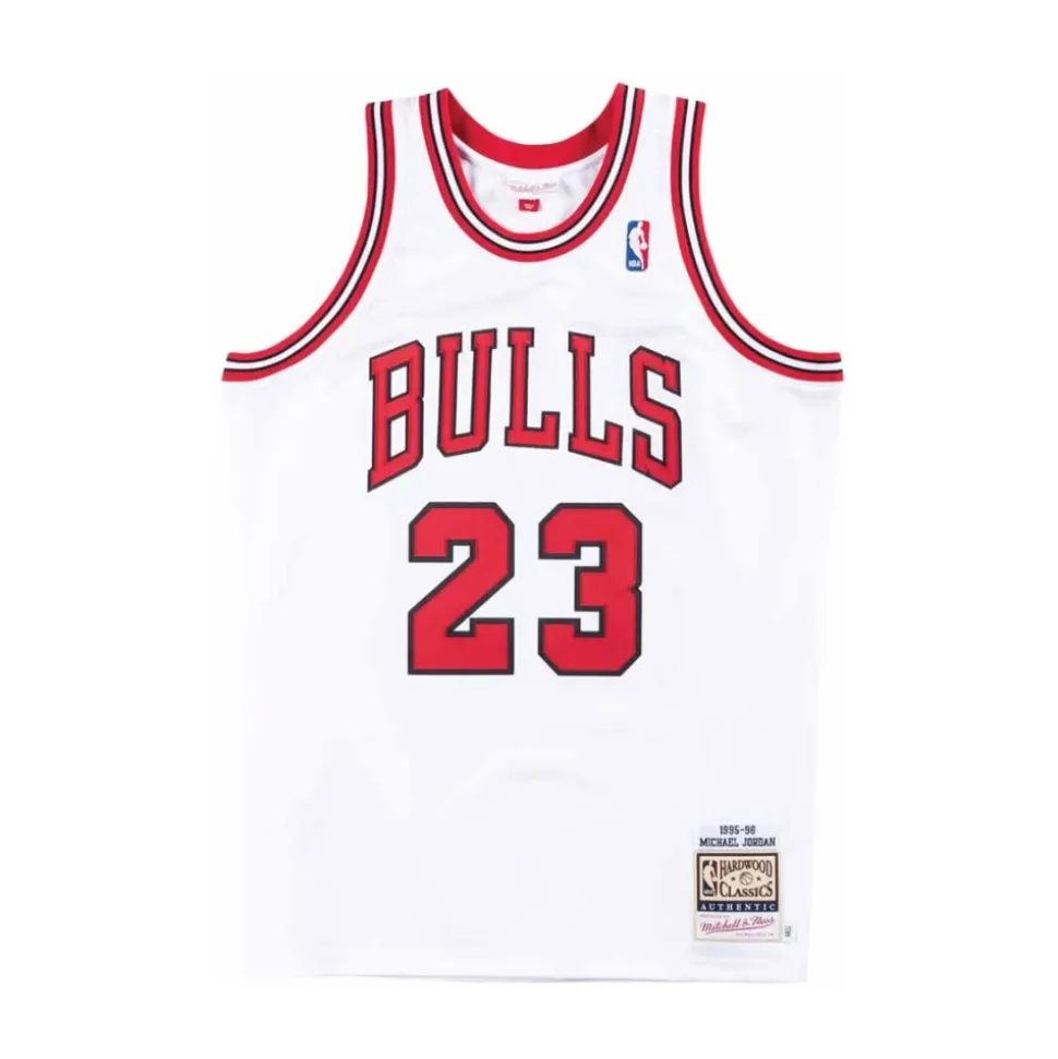 Authentic Jersey Michael Jordan 1995-96 23