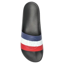 Basile Slides