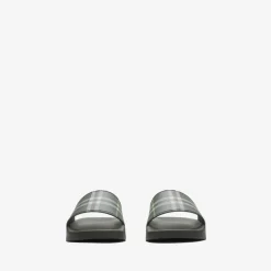 Check Slides