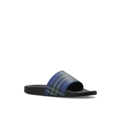 Check Slides