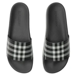 Check Slides