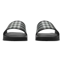 Check Slides