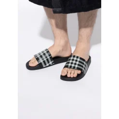Check Slides