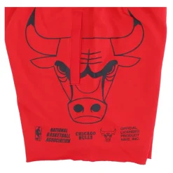 Chicago Bulls Fleece Shorts