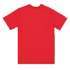 Chicago Bulls Logo T-shirt