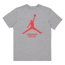 Chicago Bulls Tee Essential Grijs