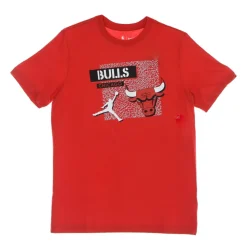 Chicago Bulls Statement Tee