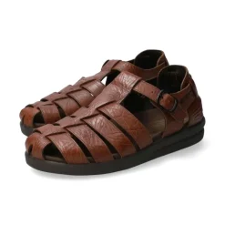 Desert Sandal