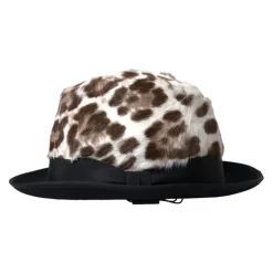 Fedora Hoed