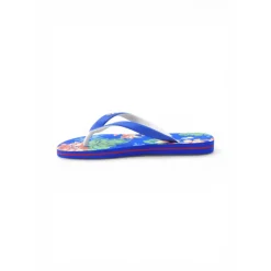 Flipflops