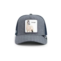 Gestreepte paardentruckerpet