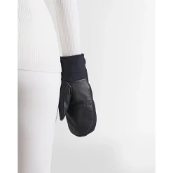 Glacier Mitten