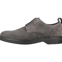 Klassieke Aldwin Lace Suède Schoenen