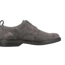Klassieke Aldwin Lace Suède Schoenen
