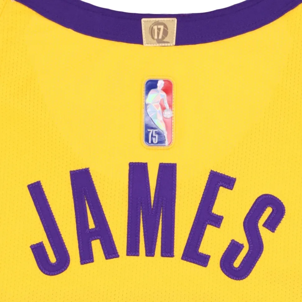 LeBron James NBA Basketbal Tanktop