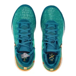 LeBron NXXT Gen Basketbalschoen