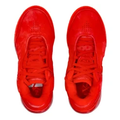 LeBron Nxxt Gen Basketballschoen