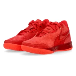 LeBron Nxxt Gen Basketballschoen