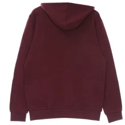 Lichte Hoodie Classic Adicolor Trefoil Hoodie