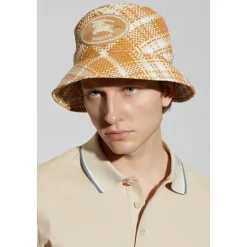Logo Hat