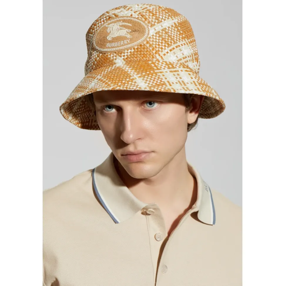 Logo Hat