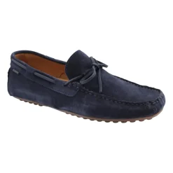 Mocassin