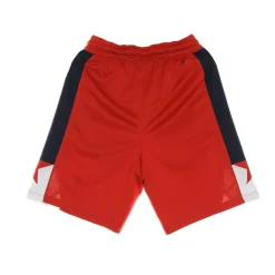 NBA Swingman Basketball Shorts Washington Wizards Edition