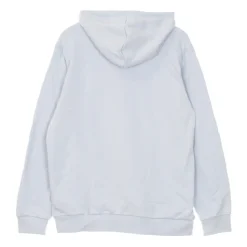 Ombre Hoody Lichtgewicht Sweatshirt met 3D Logo