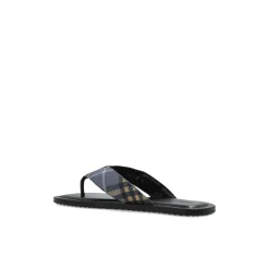 Pavilion Slides