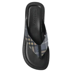 Pavilion Slides