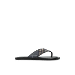 Pavilion Slides