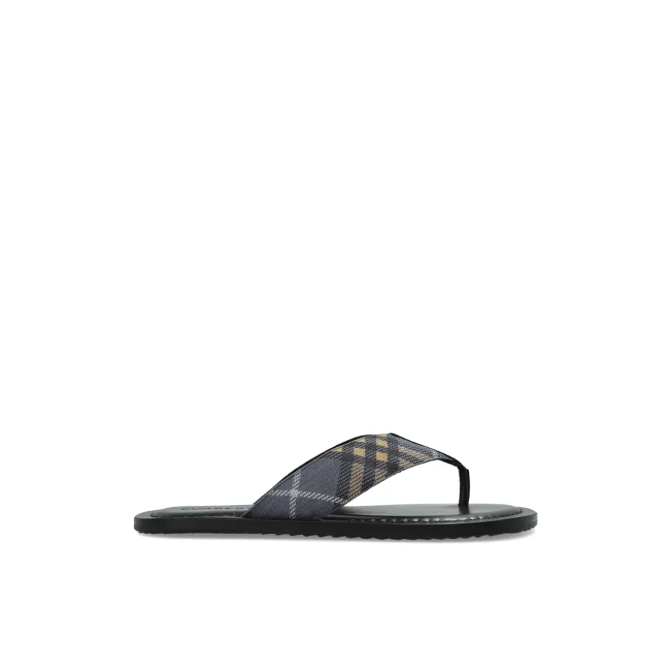 Pavilion Slides