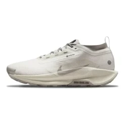 Pegasus Trail 5 GORE-TEX SP