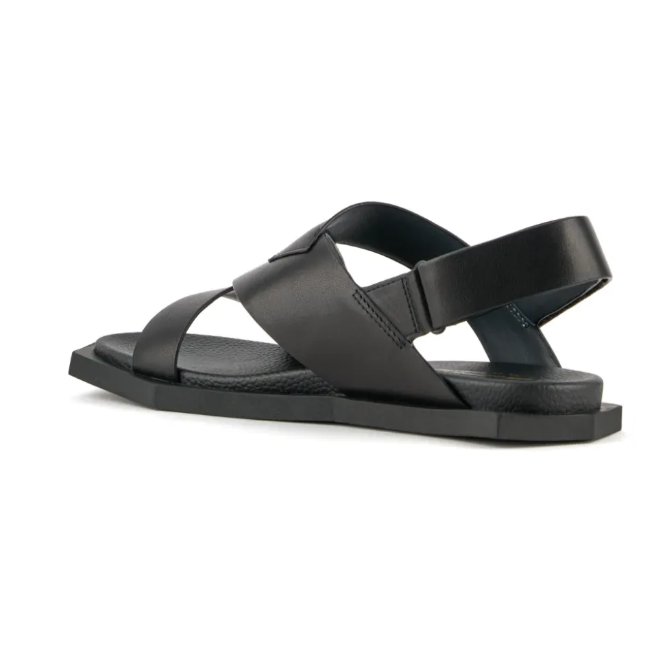 Poly Straps Lo