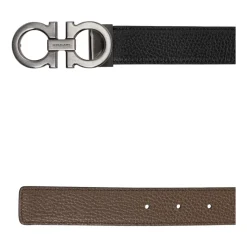 Reversibele Riem