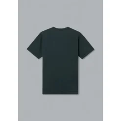 Short Sleeve Shirts