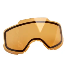 Ski Goggles
