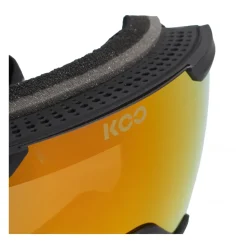 Ski Goggles
