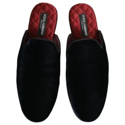 Slides