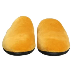 Slides