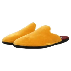 Slides