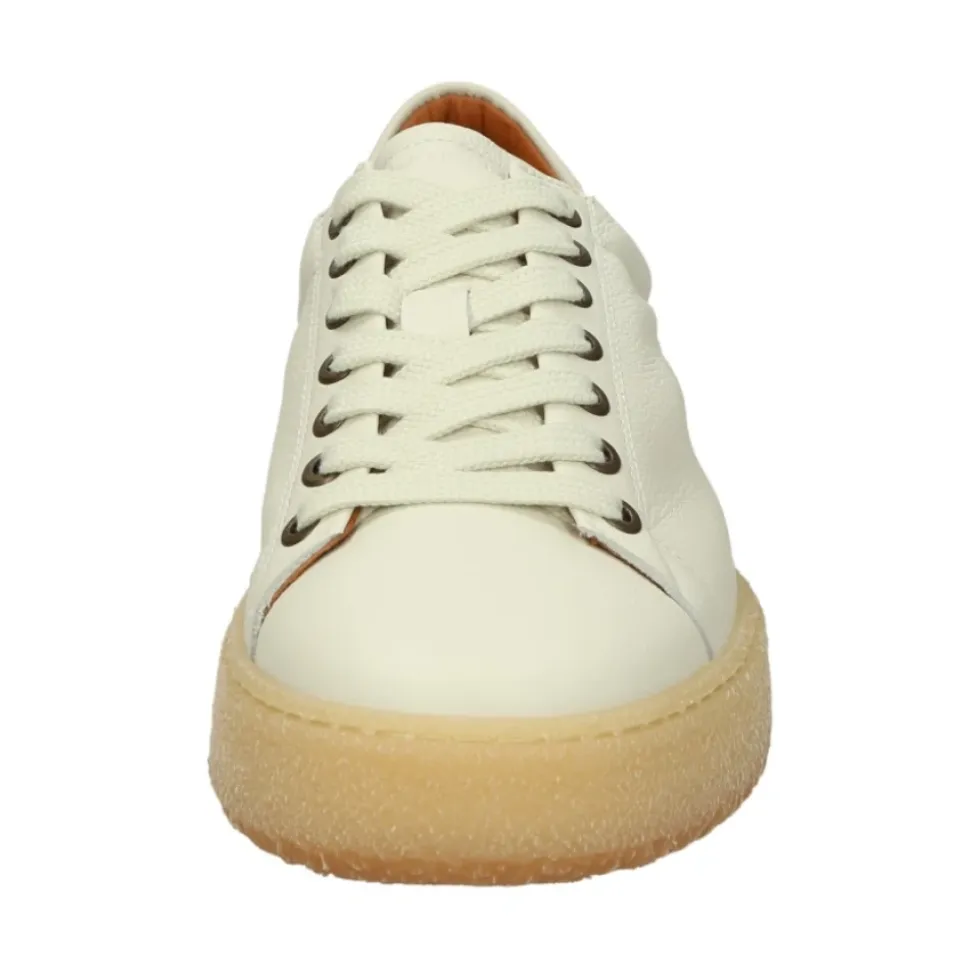Sneakers Basse