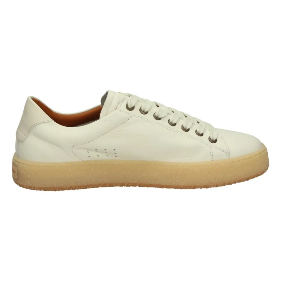 Sneakers Basse