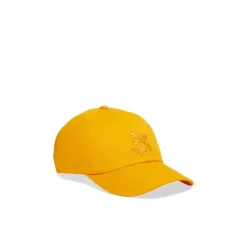 Solid Cap Turtle Embroidery