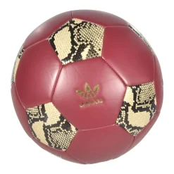 Sport Accessories